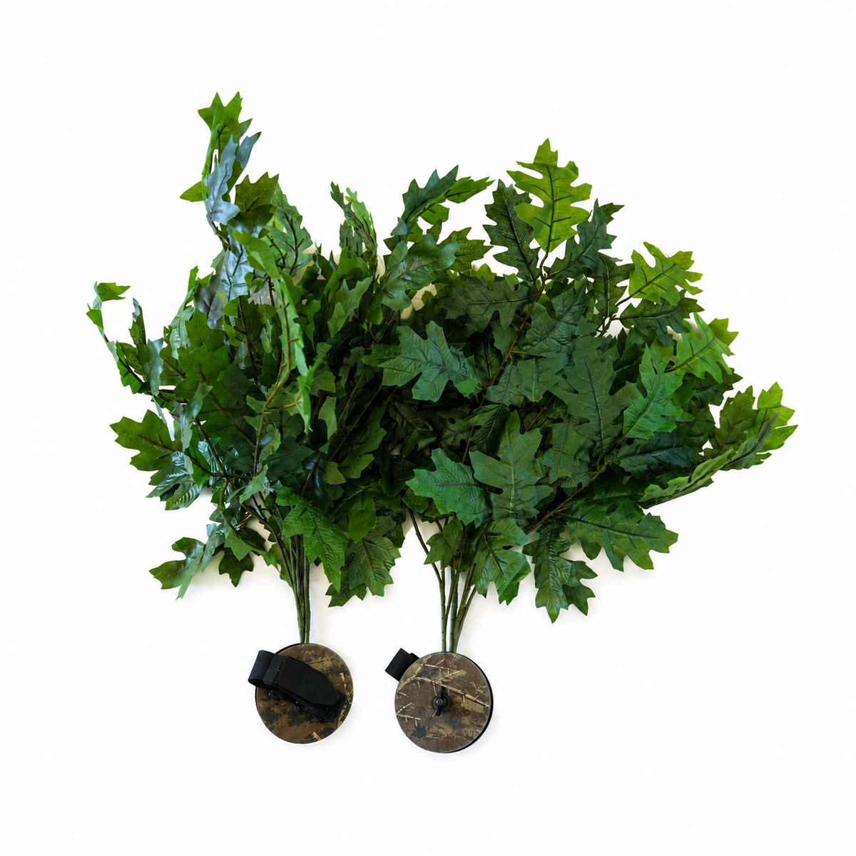 Brush Biscuit