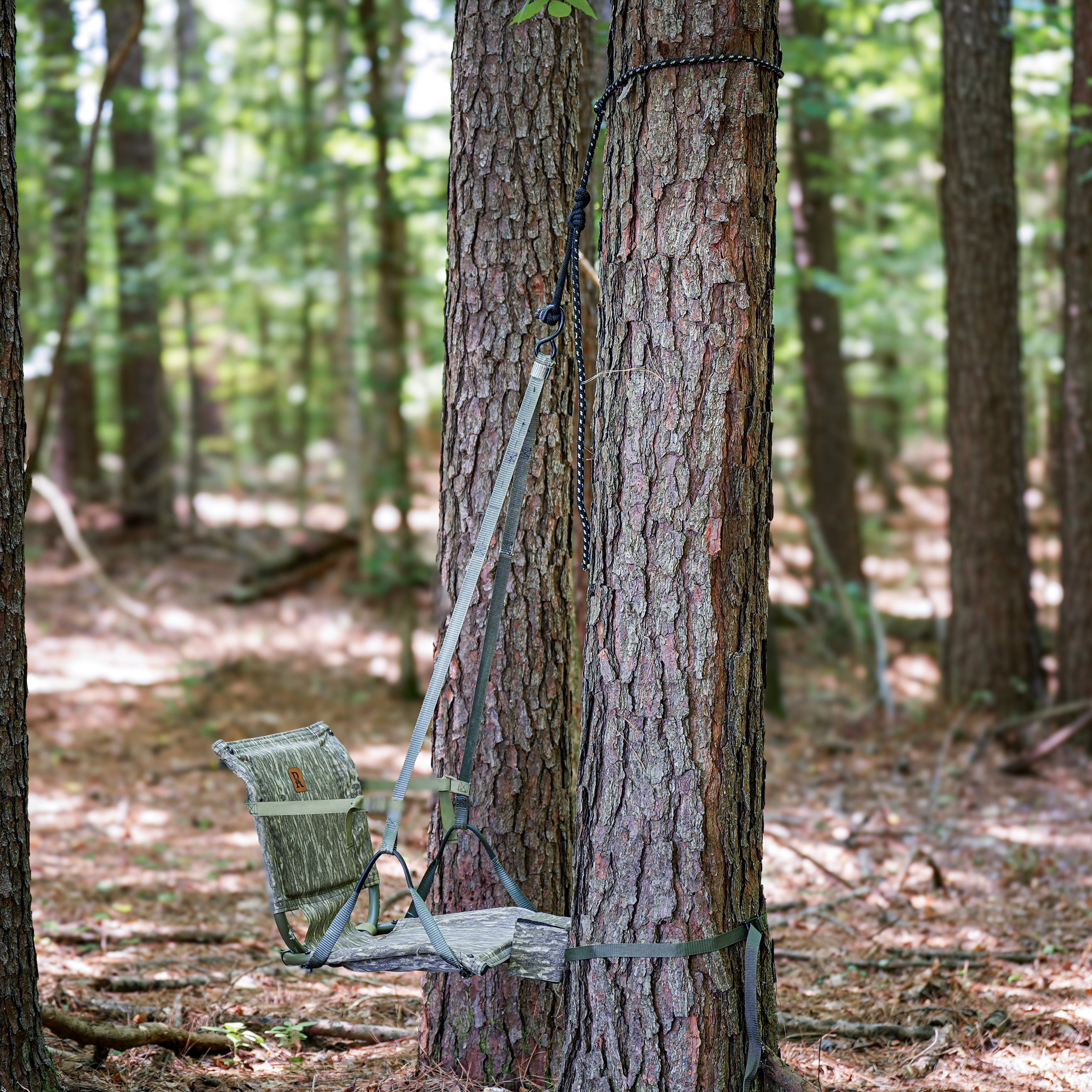 Tree Seats